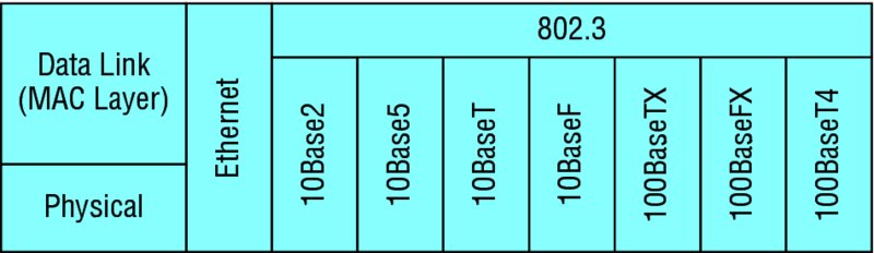 Image shows Ethernet Physical layer specifications of IEEE 802.3 in terms of data link: MAC layer and physical such as 10Base2, 10Base5, 10BaseT, 10BaseF, 100BaseTX, 100BaseFX, and 100BaseT4.