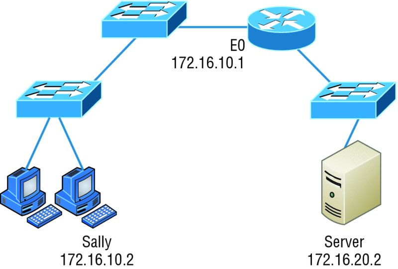 Image described by caption and surrounding text.