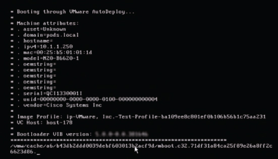 Window displaying host information echoed to the server console when performing network booting.