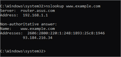 “Screenshot for using nslookup www.example.com at the prompt to acquire DNS information for a specific site to work in the noninteractive mode.”