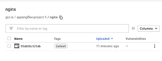 The illustration shows a listing for the Nginx image. This listing lists one entry for each version of the image.