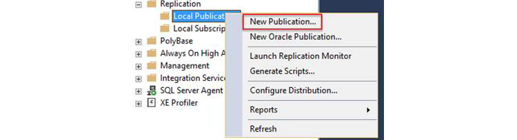 Figure 1.7: Select New Publication