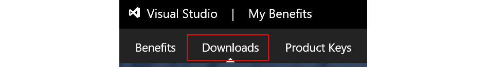 Figure 4.31: The Downloads option