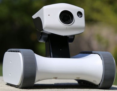 Figure 1.5 – Robot sentry
