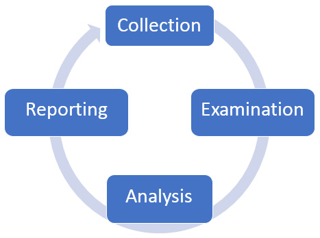 Figure 1.6 – Forensics cycle 
