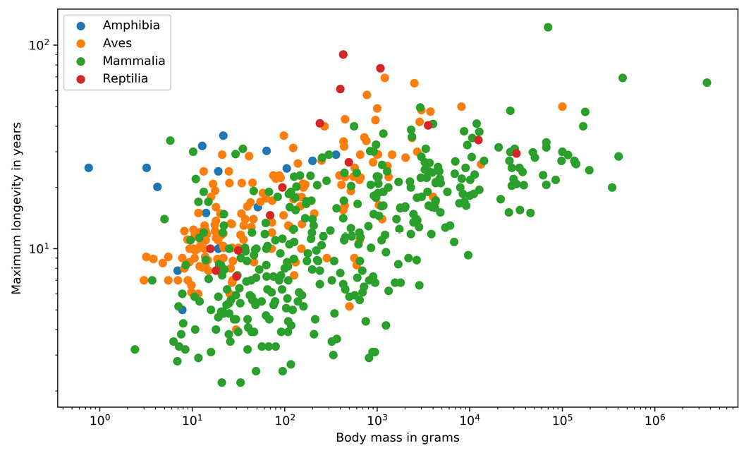 Figure 2.13: Correlation between body mass and maximum longevity for animals
