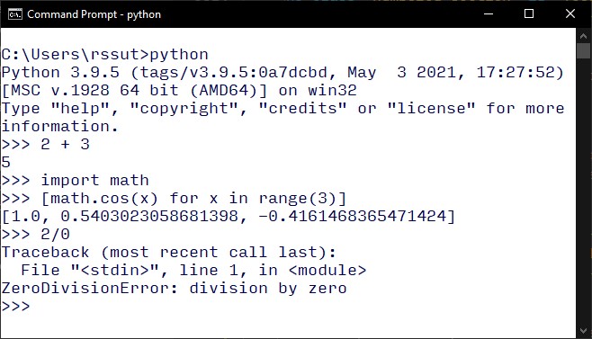The Python interpreter