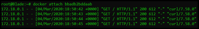 Figure 1.11 – STDOUT output from the container