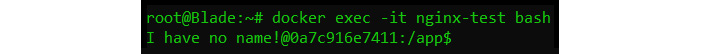 Figure 1.13 – docker exec example