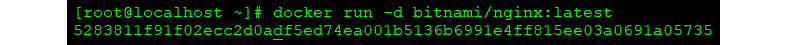 Figure 1.5 – Docker run output