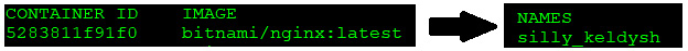 Figure 1.6 – Docker naming example
