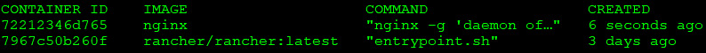 Figure 1.7 – Currently running containers