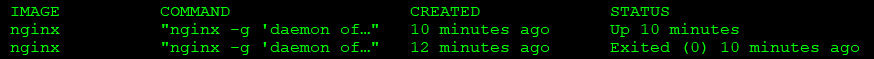 Figure 1.8 – Docker PS output