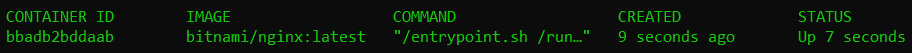 Figure 1.9 – docker ps output