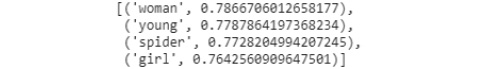 Figure 1.25: Output of word embeddings for ‘man’
 
