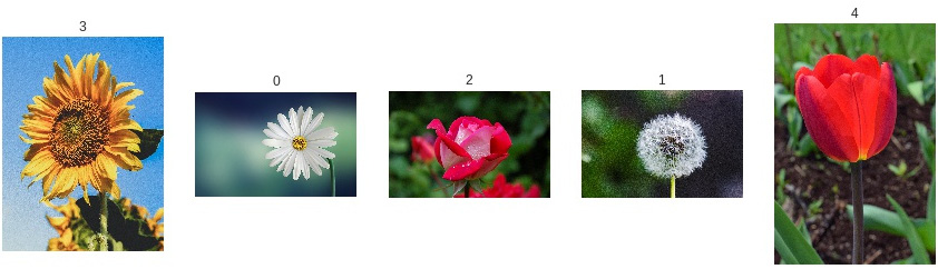 Figure 5.20: Prediction of roses result from Activity 1