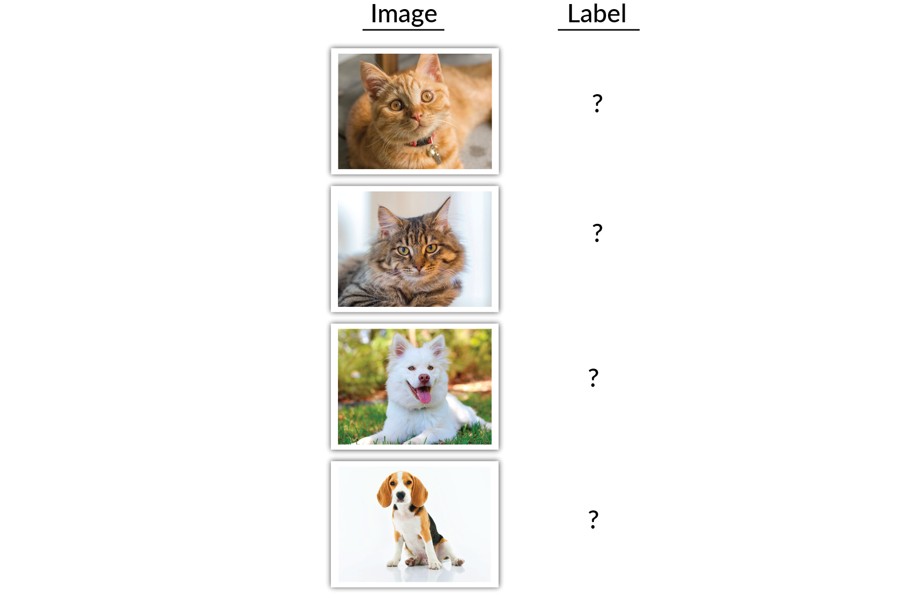 Figure 1.1: A trivial classification task for humans, but quite difficult for machines