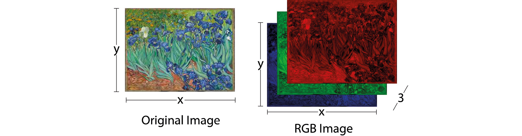 Figure 1.3: A color image and its representation as red, green, and blue images 