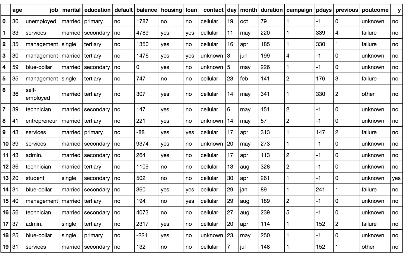 Figure 1.4: An image showing the first 20 instances of the marketing dataset