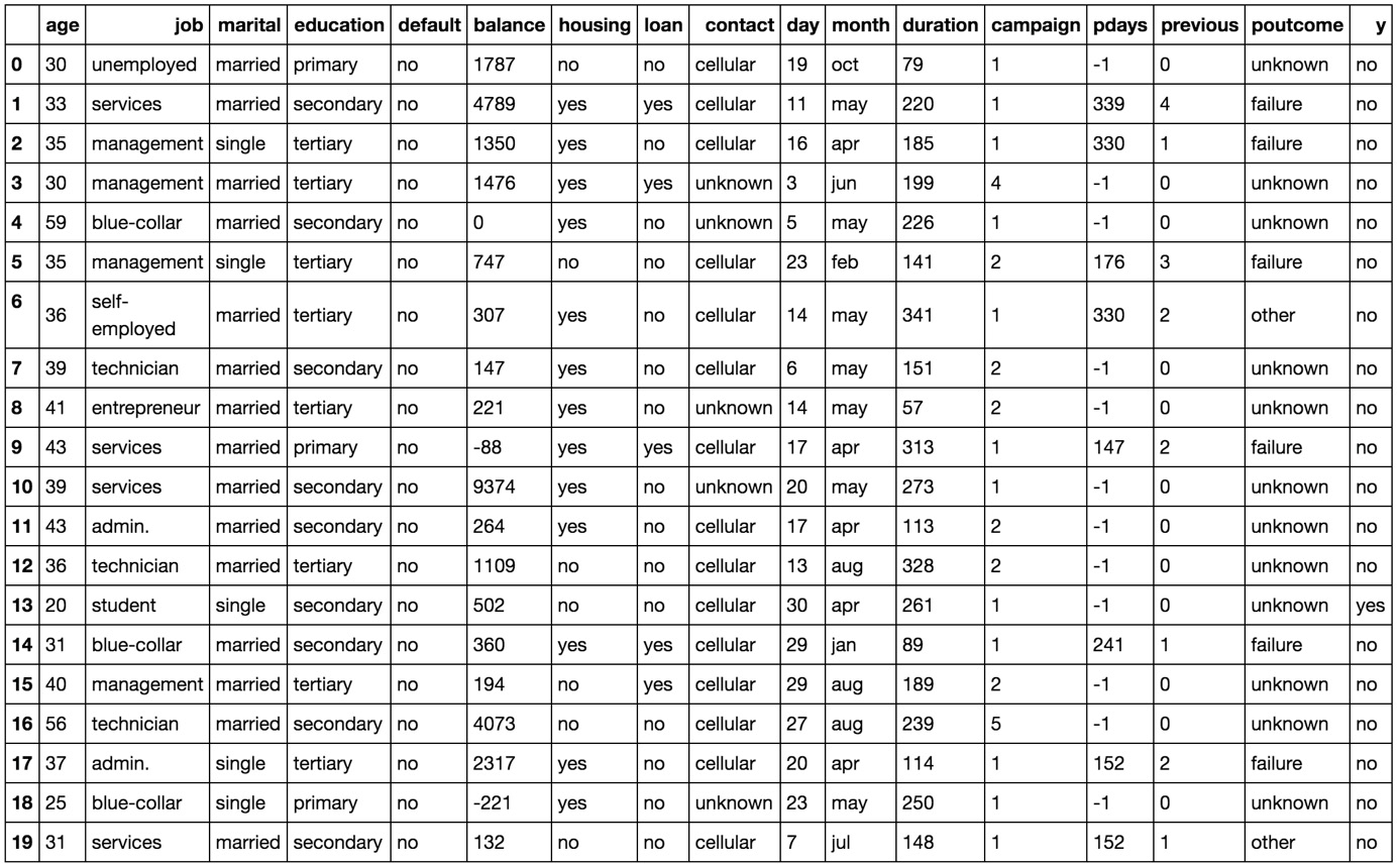 Figure 1.6: The first 20 rows of the pandas DataFrame
