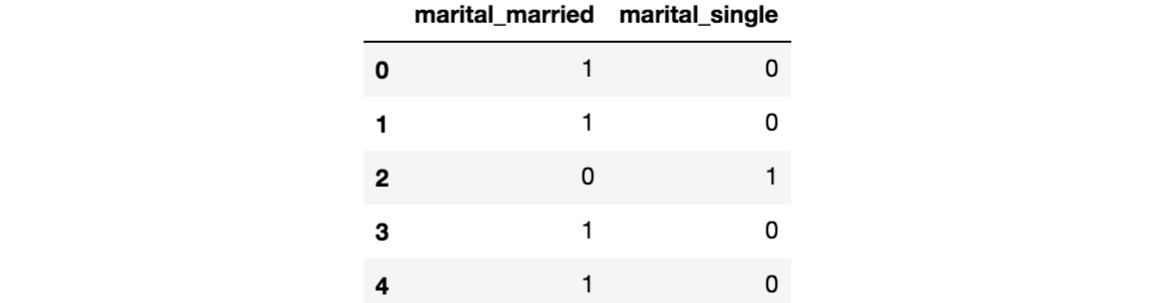 Figure 1.18: Final dummy columns from the marital column