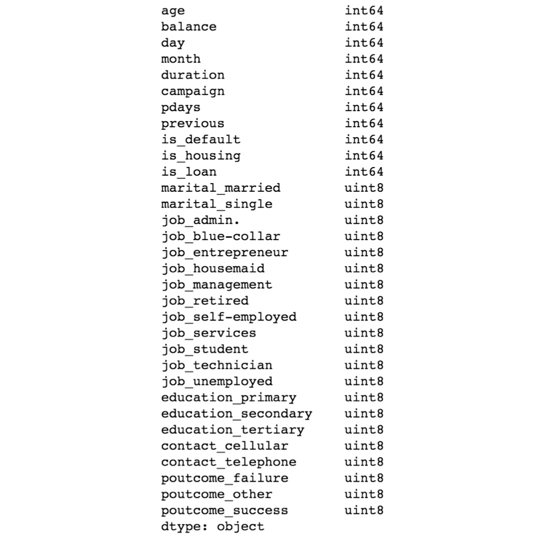 Figure 1.19: The datatypes of the processed feature dataset