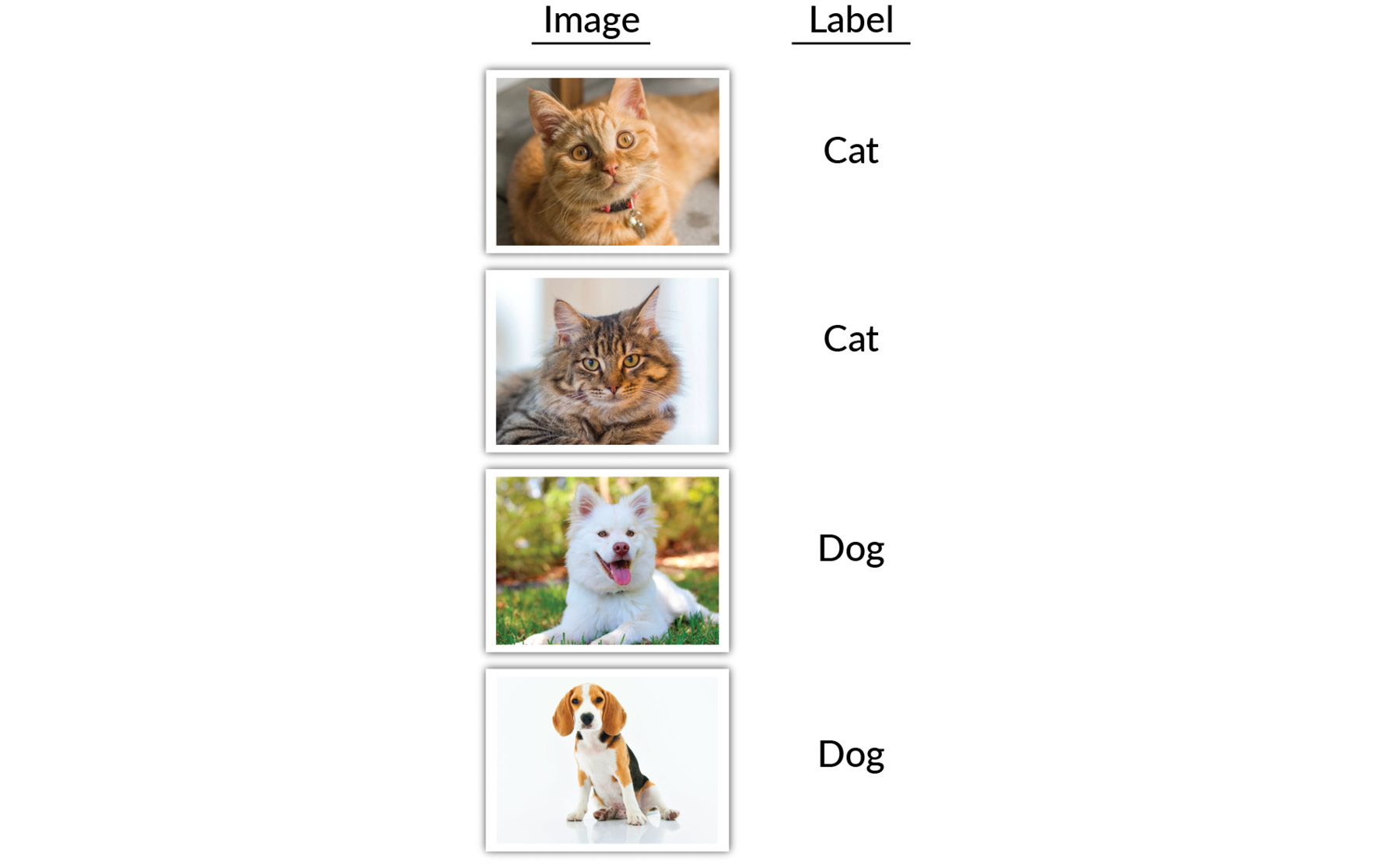 Figure 1.27: A simple supervised learning task to classify images into dogs and cats