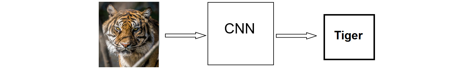 Figure 7.2: CNN classifying a tiger