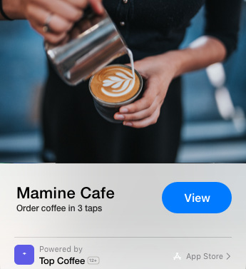Figure 1.1 − App Clip UI