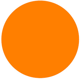 Figure 1.1 – The boundary of a circle
